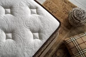 Bambi Comfort Balance Mattress – photo 3