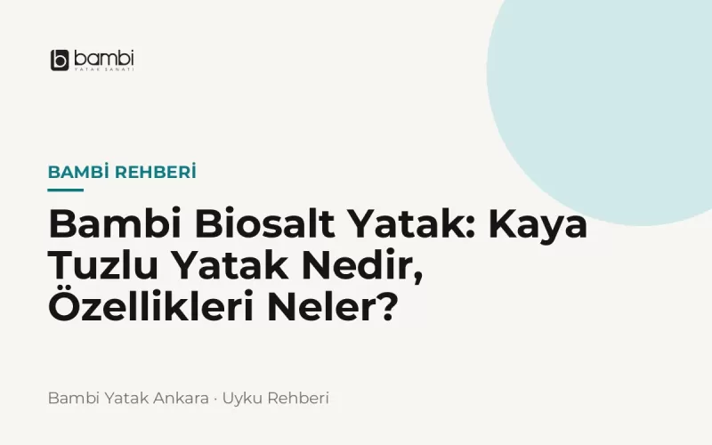 Bambi Biosalt Yatak: Kaya Tuzlu Yatak Nedir, Özellikleri Neler?
