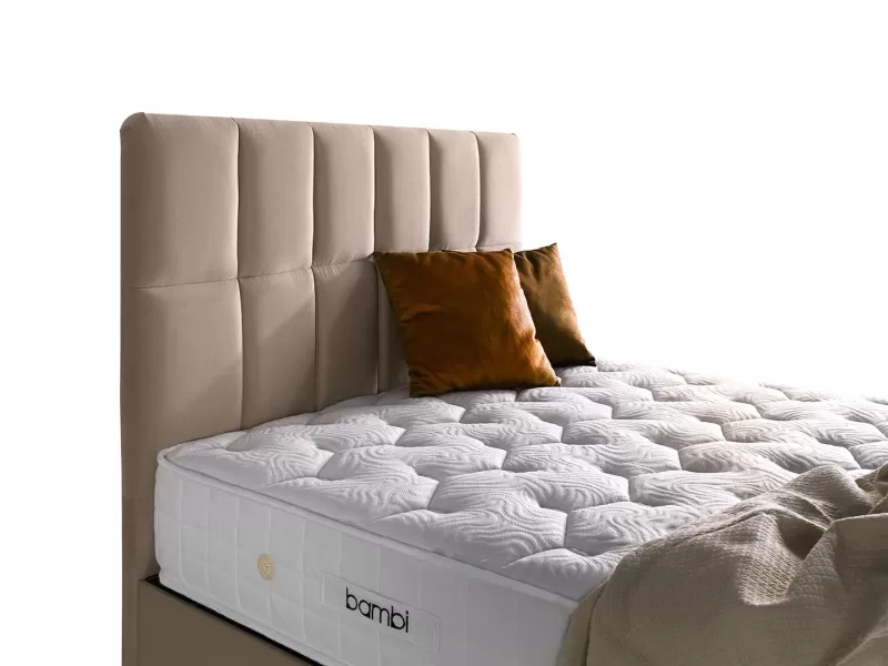 Bambi Golden Prime Başlık