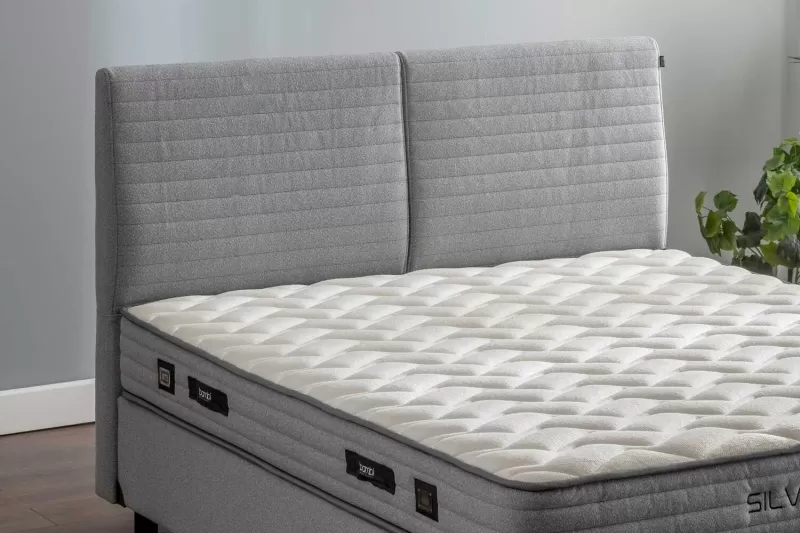 Bambi Silver Voyage Başlık